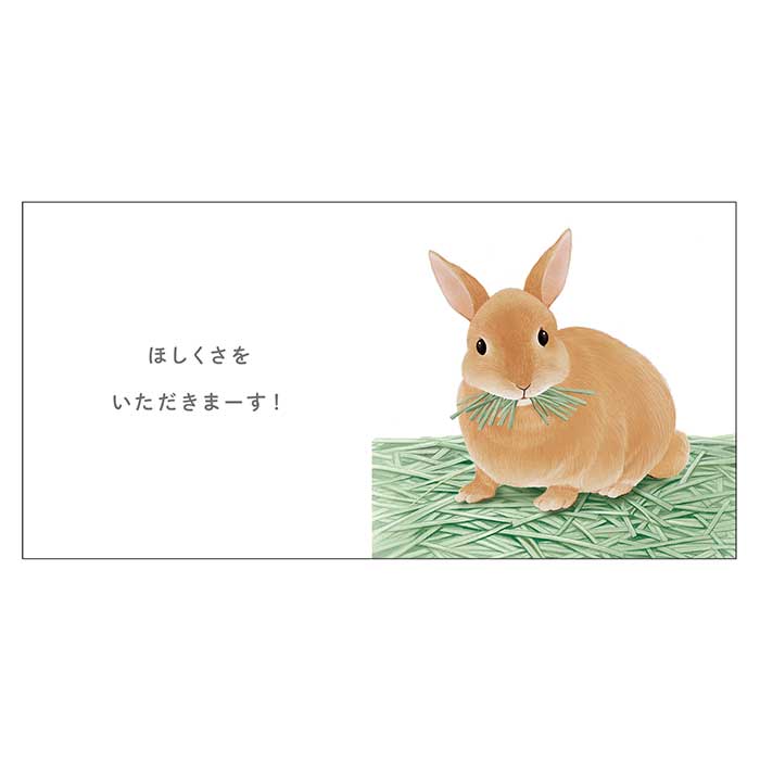 ����Τ��Ϥ󤫤ʡ�