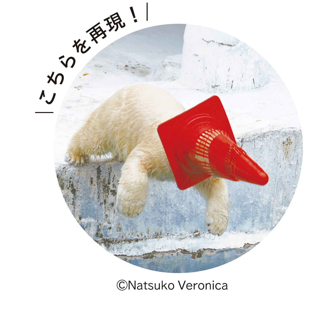 ŷưʪ४ꥸʥۥۥå祯ޤΥۥӹߥѥ