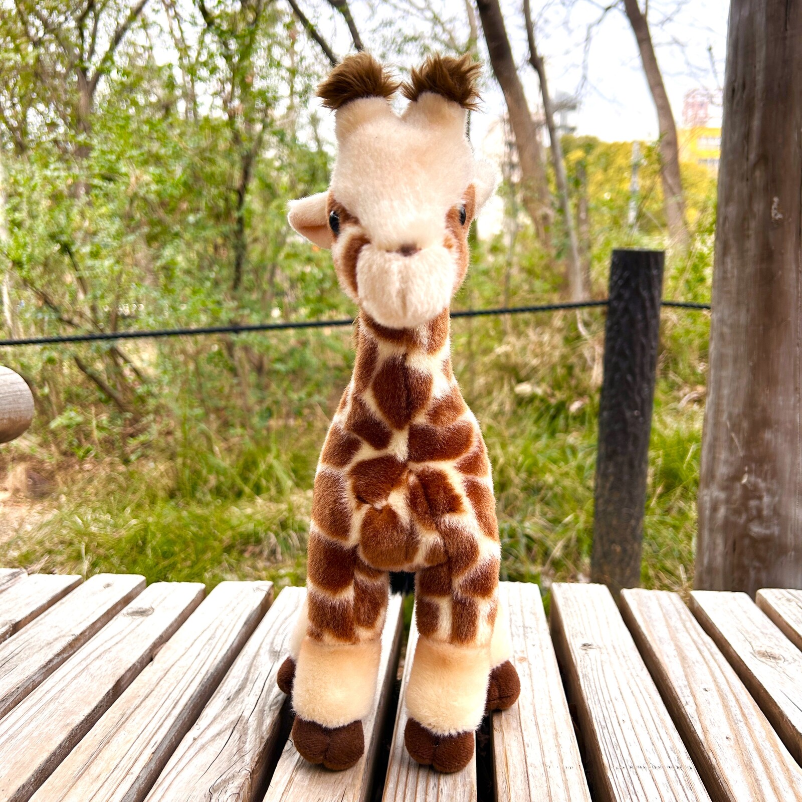 キリンぬいぐるみ 天王寺動物園オリジナル】キリンぬいぐるみ 幸弥M | 天王寺