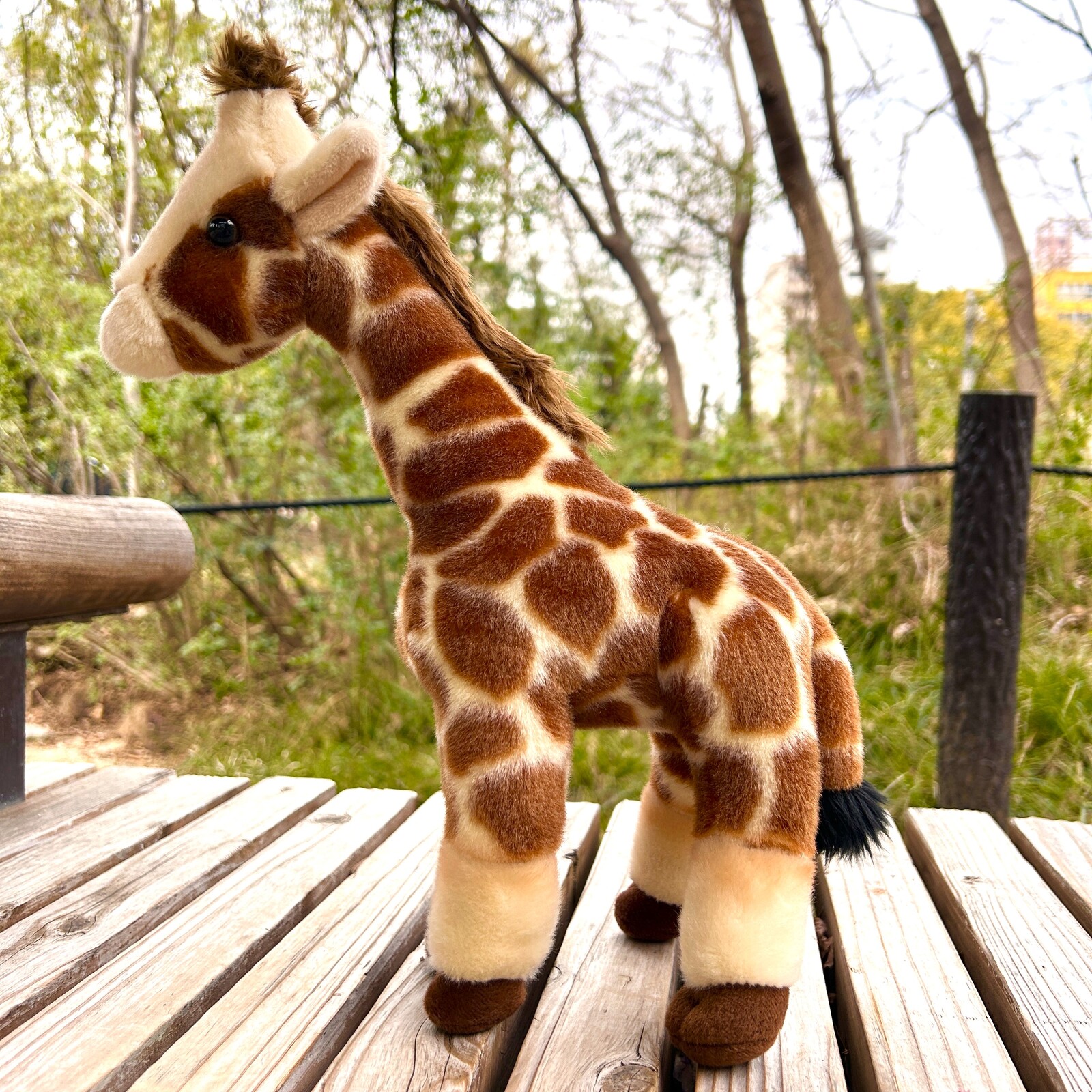 ��ŷ����ưʪ�४�ꥸ�ʥ�ۥ����̤�����ߡ�����M