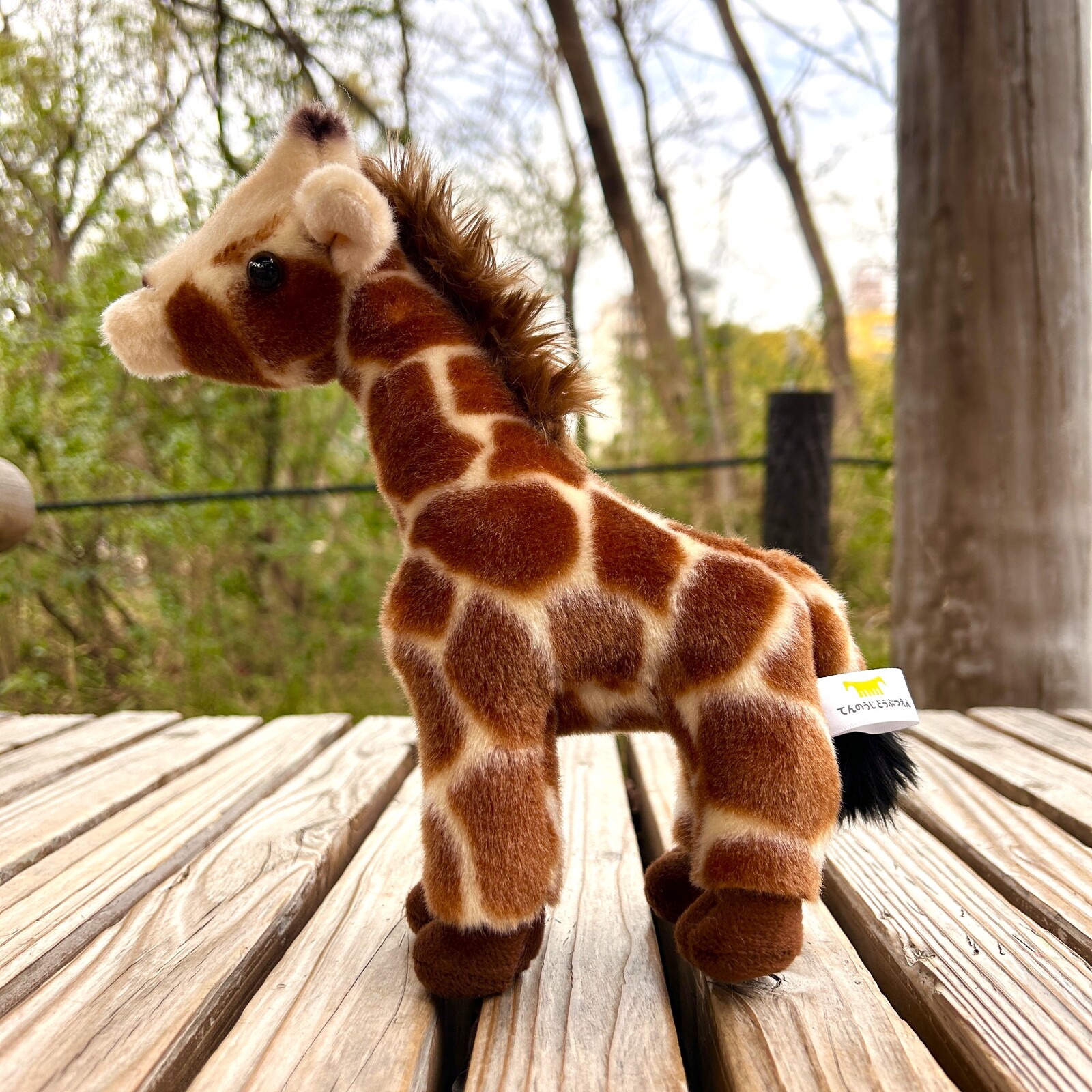 ��ŷ����ưʪ�४�ꥸ�ʥ�ۥ����̤�����ߡ�����S