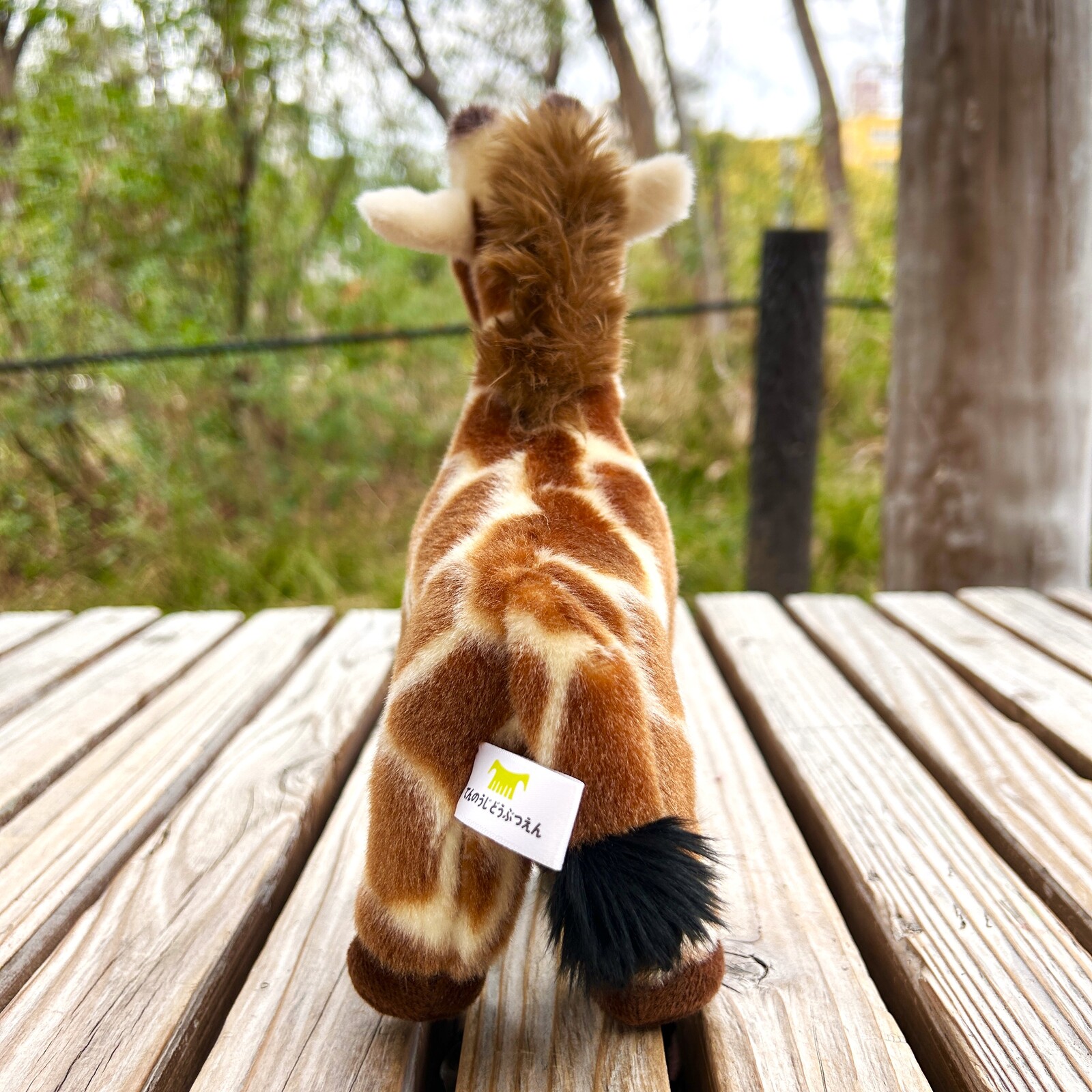 ��ŷ����ưʪ�४�ꥸ�ʥ�ۥ����̤�����ߡ�����S