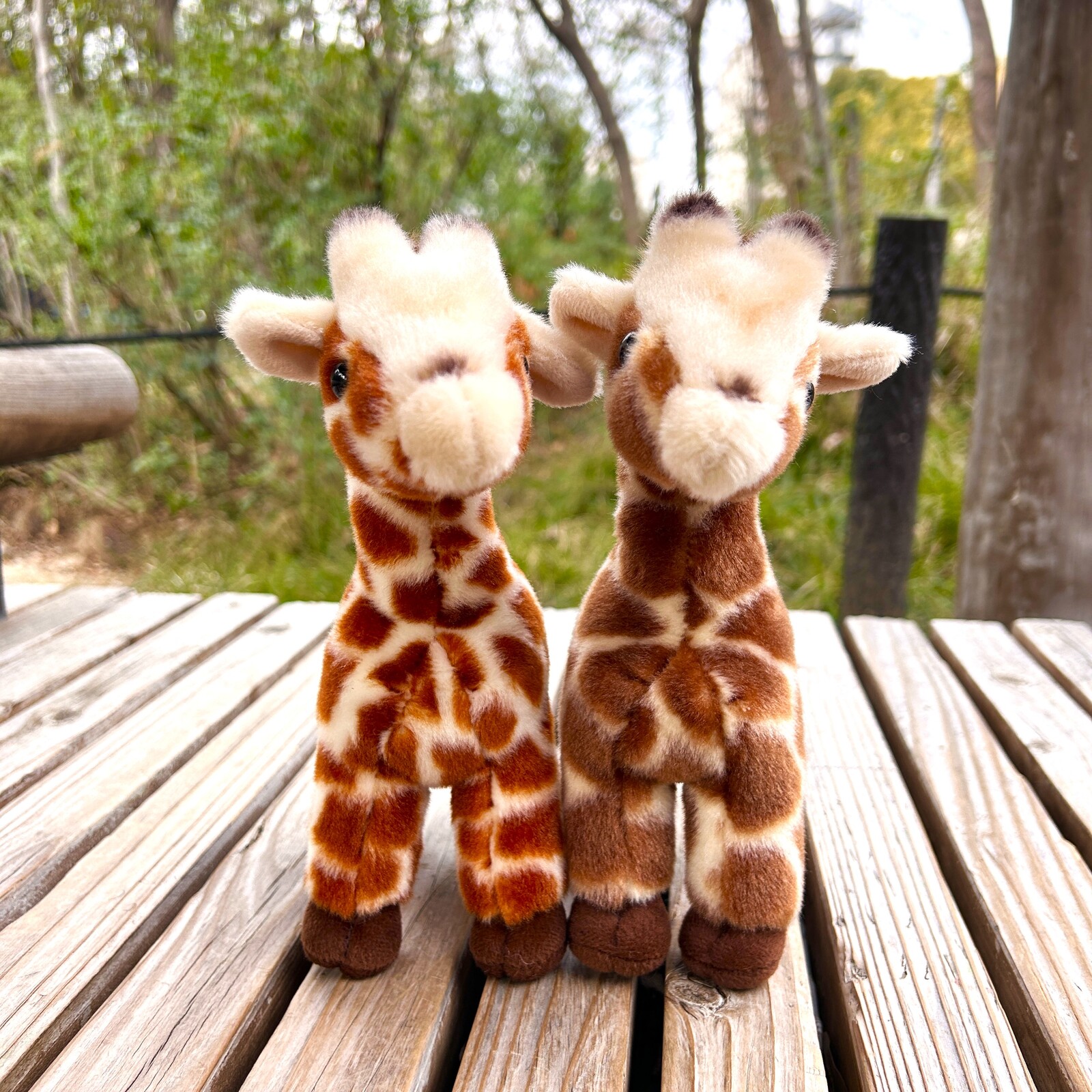 ��ŷ����ưʪ�४�ꥸ�ʥ�ۥ����̤�����ߡ�����S