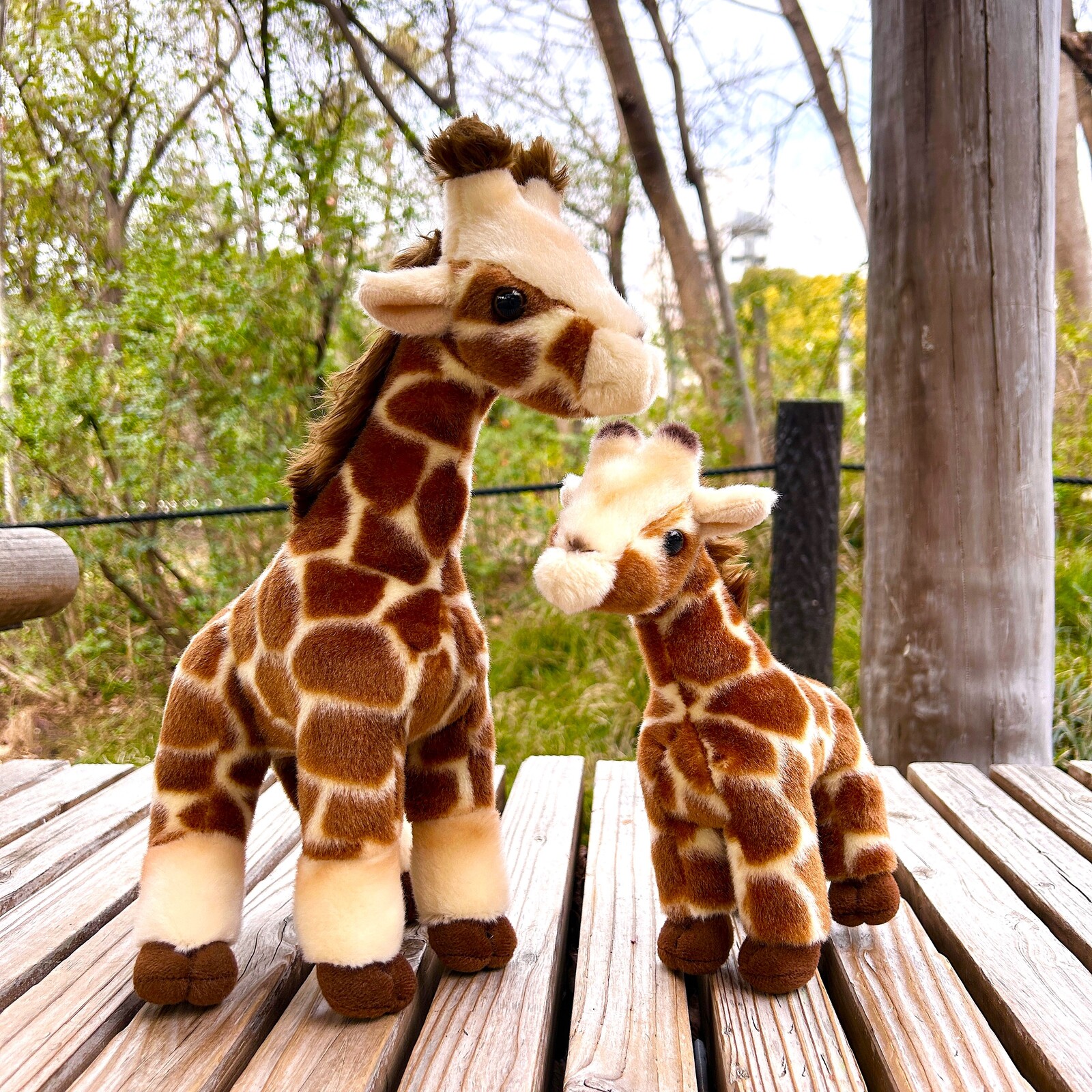 ��ŷ����ưʪ�४�ꥸ�ʥ�ۥ����̤�����ߡ�����S