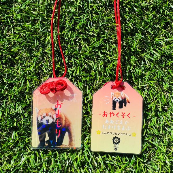 ŷưʪŷٻۤޤ륭ۥåѥ