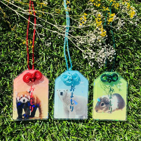 ŷưʪŷٻۤޤ륭ۥåѥ