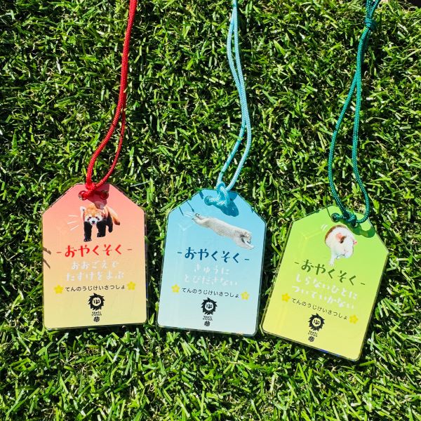 ŷưʪŷٻۤޤ륭ۥåѥ