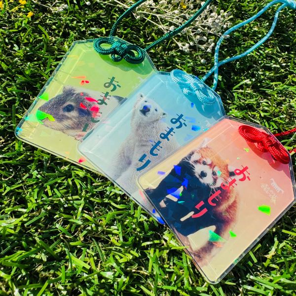 ŷưʪŷٻۤޤ륭ۥåѥ