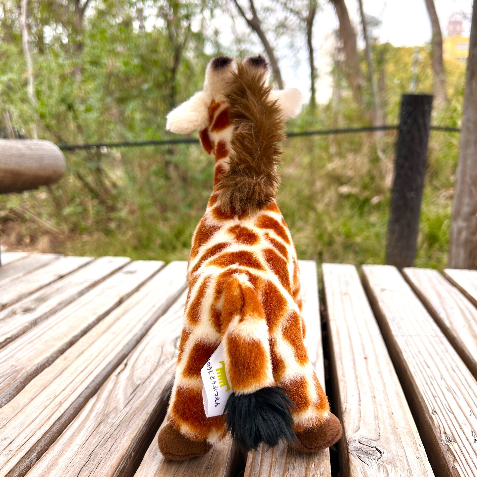 ��ŷ����ưʪ�४�ꥸ�ʥ�ۥ����̤�����ߡ��ϥ륫��S