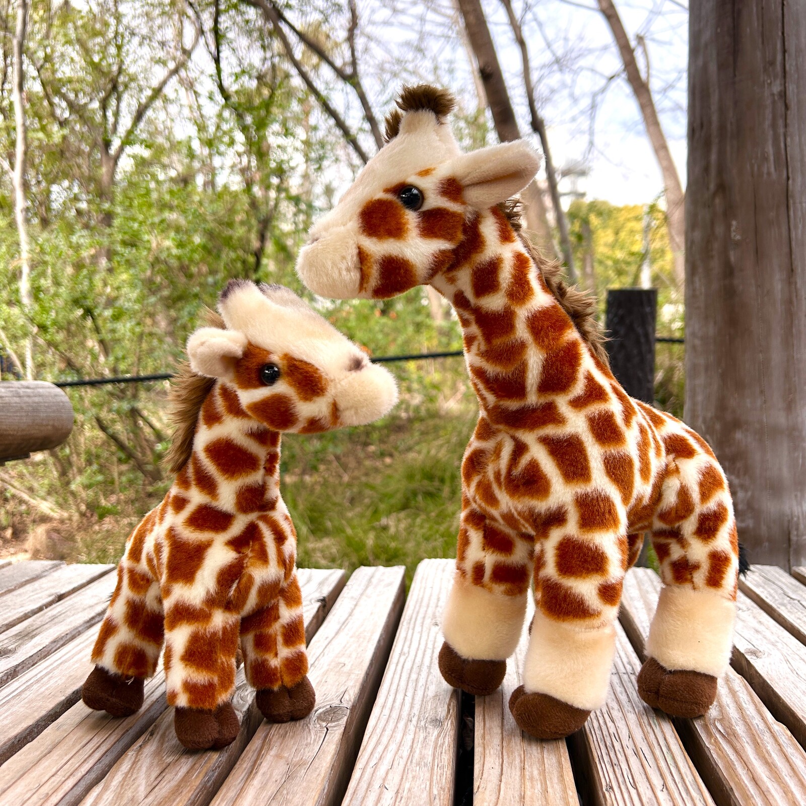 ��ŷ����ưʪ�४�ꥸ�ʥ�ۥ����̤�����ߡ��ϥ륫��S