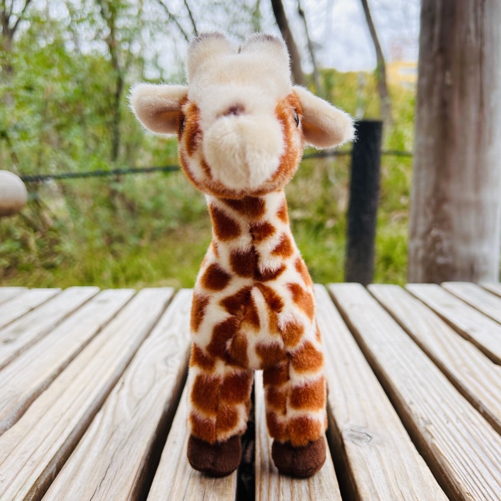 5_000000000747.jpg?1753762440