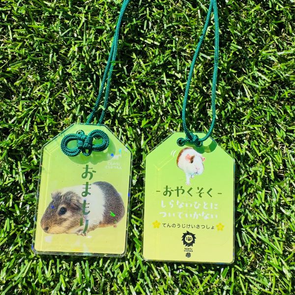 ŷưʪŷٻۤޤ륭ۥå