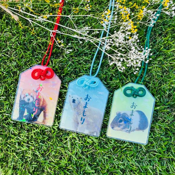 ŷưʪŷٻۤޤ륭ۥå