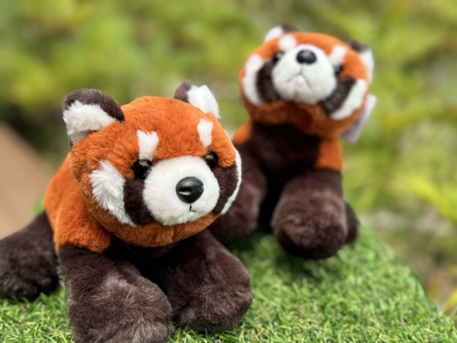レッサーパンダぬいぐるみ CUTE キュート販売 ぬいぐるみ くたくたレッサーパンダ SS Z0325