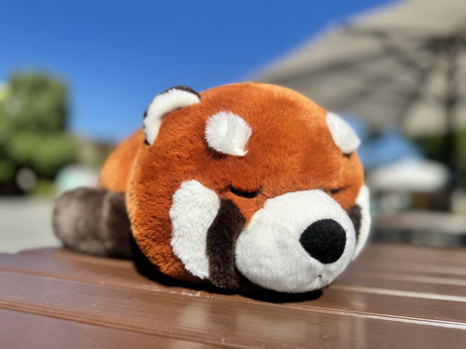 ŷưʪ४ꥸʥۤդդ륯å