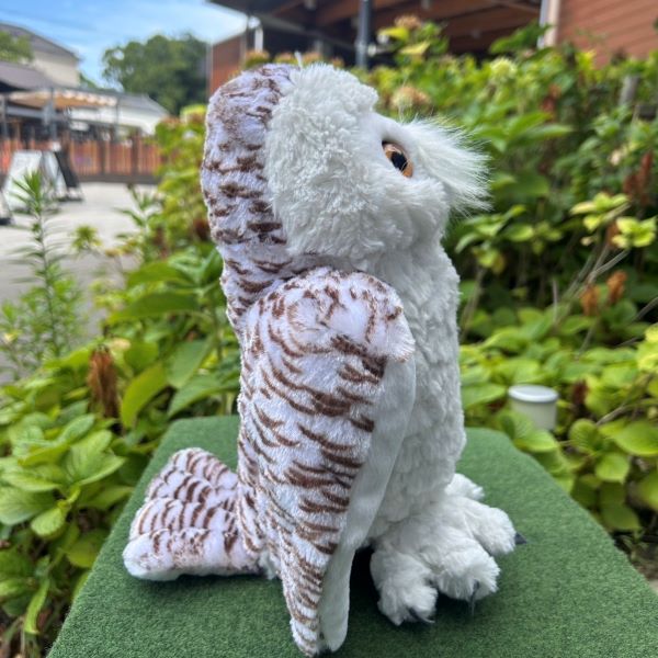 Wild Republic �����ե�����