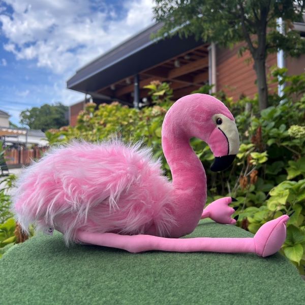 Wild Republic �ե�ߥ�