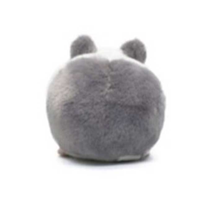 ����������äȥ��졼