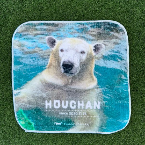 ��ŷ����ưʪ�४�ꥸ�ʥ�ۥۥ������BD�ߥ˥����롡�ե�����