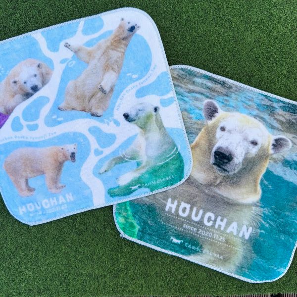 ��ŷ����ưʪ�४�ꥸ�ʥ�ۥۥ������BD�ߥ˥����롡���顼����