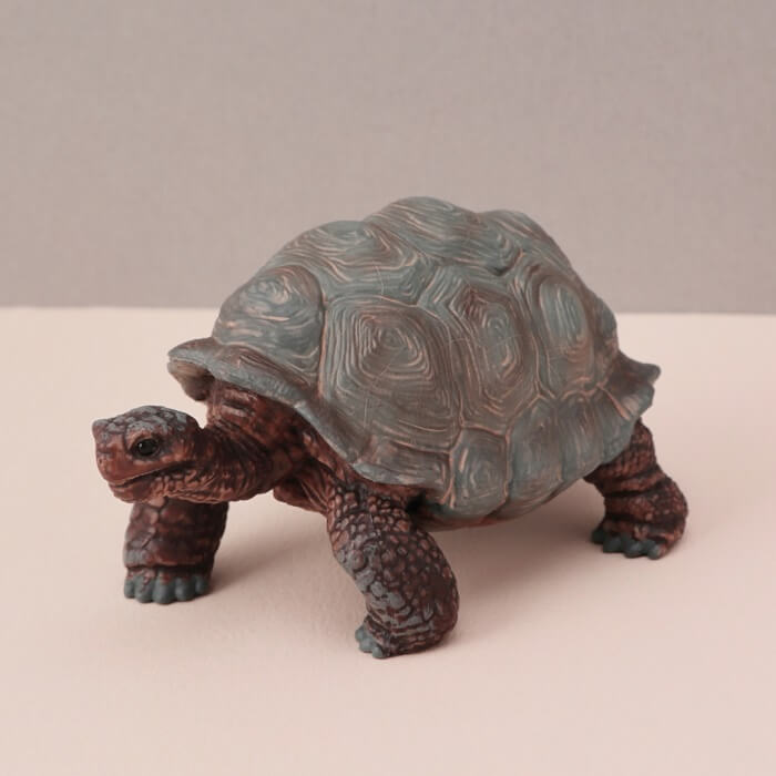 ����饤�ҡ���������