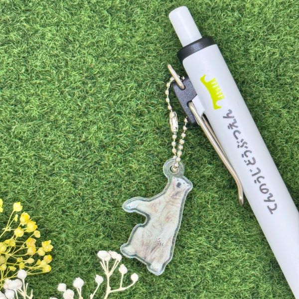 ��ŷ����ưʪ�४�ꥸ�ʥ�ۥ��㡼���դ��ܡ���ڥ󡡥ۥå��祯����