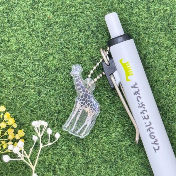 ��ŷ����ưʪ�४�ꥸ�ʥ�ۥ��㡼���դ��ܡ���ڥ󡡥����