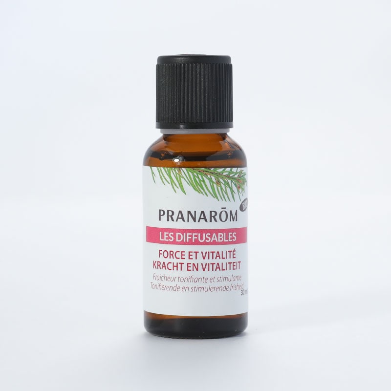 【プラナロム】バイタリティ