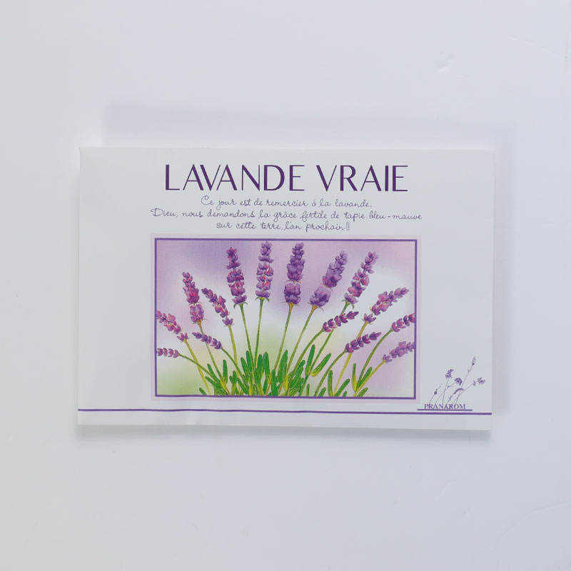 【KENSO】ハーブバス　ラベンダー