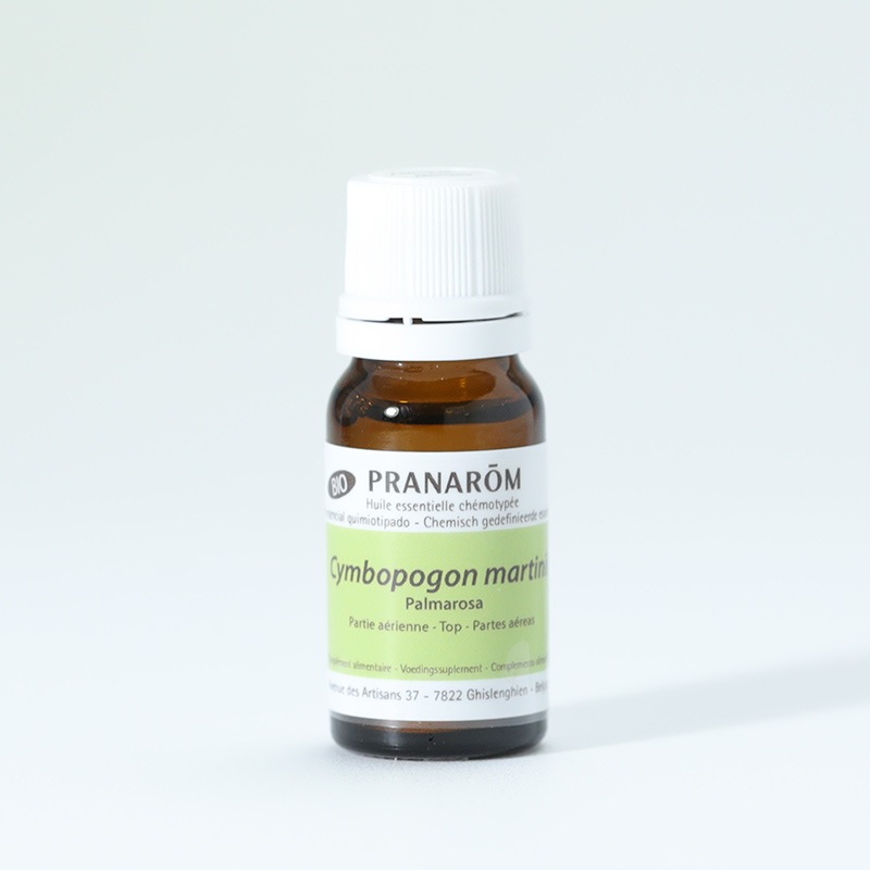 【プラナロム】パルマローザ