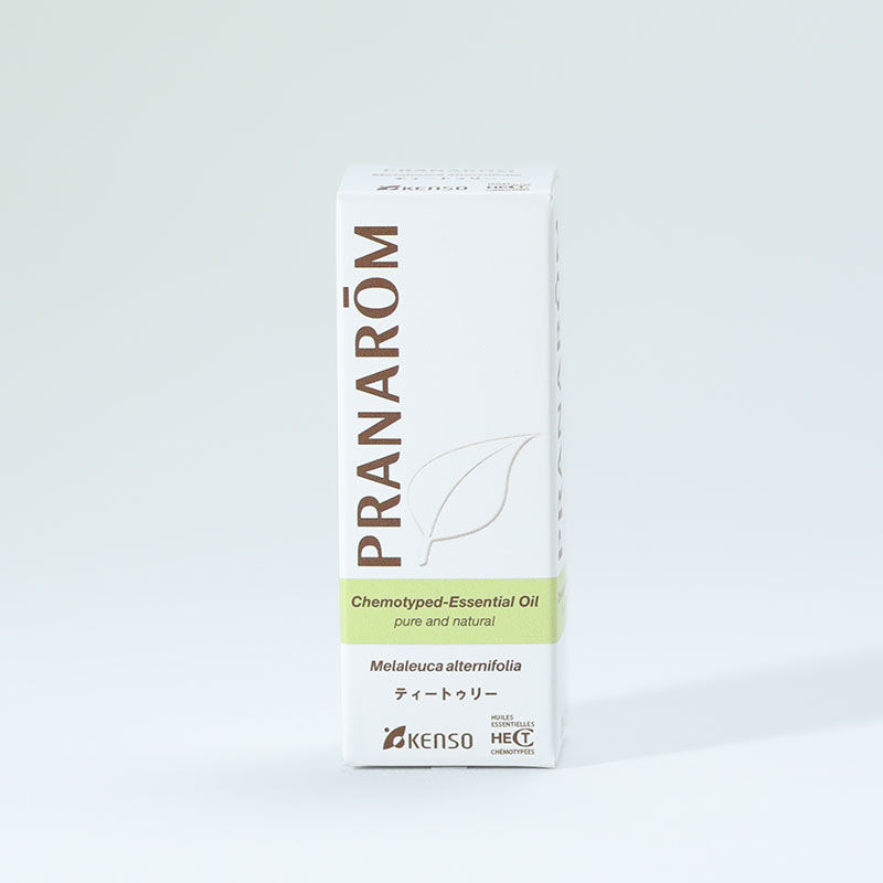 【プラナロム】ティートゥリー