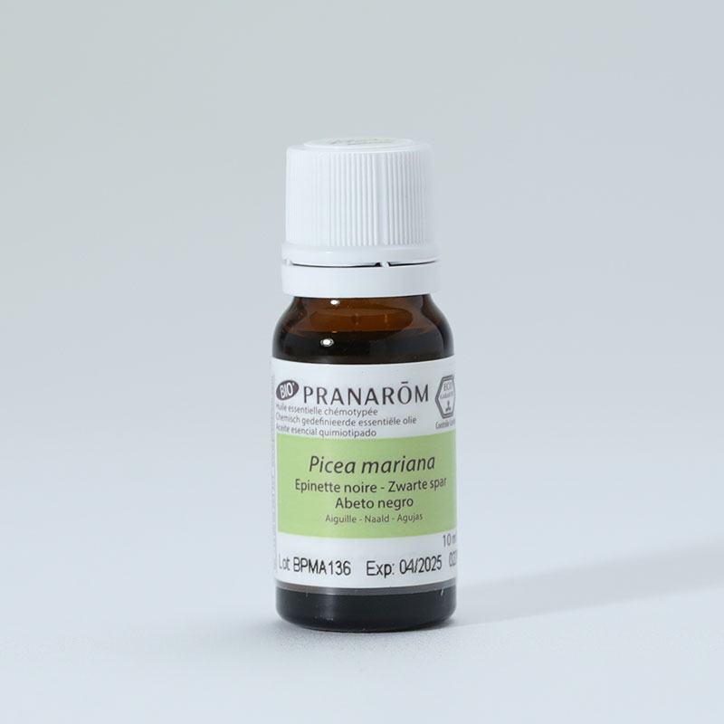 【プラナロム】ブラックスプルース