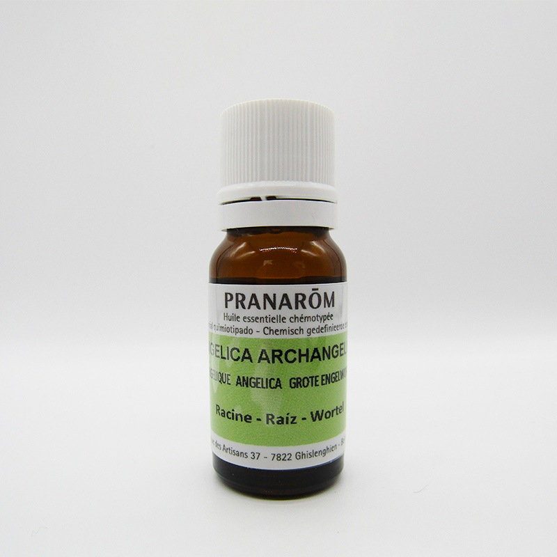 【プラナロム】アンゼリカ（ルート）