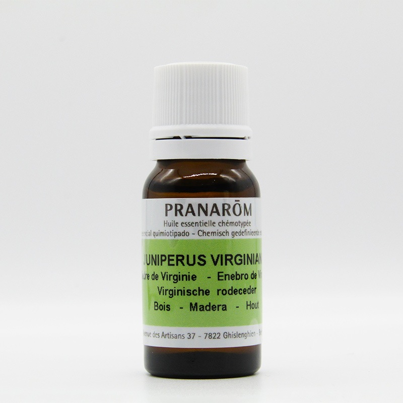 【プラナロム】シダー