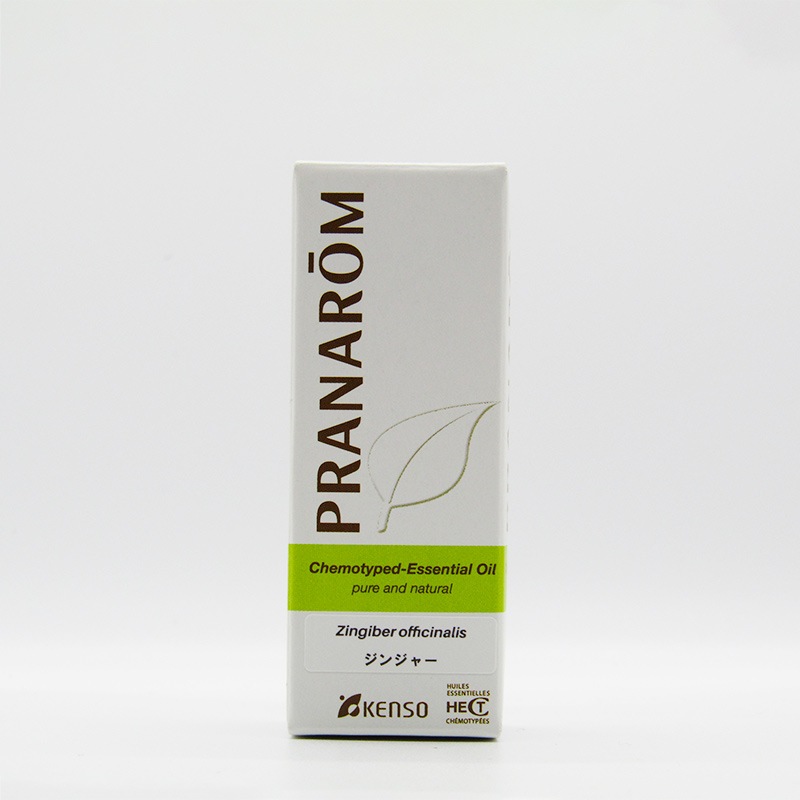 【プラナロム】ジンジャー