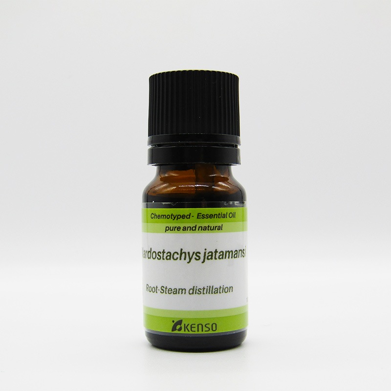 【KENSO】 スパイクナード　【新ロッド】