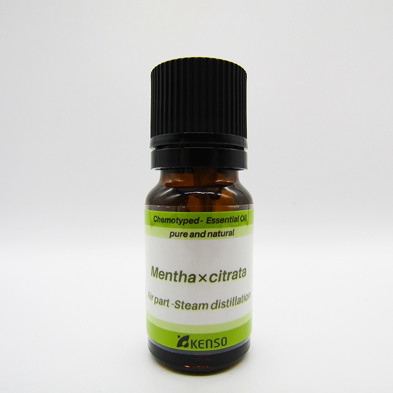【KENSO】ベルガモットミント