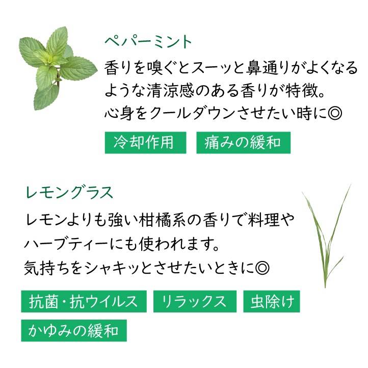 夏限定！ひんやりジェルキット