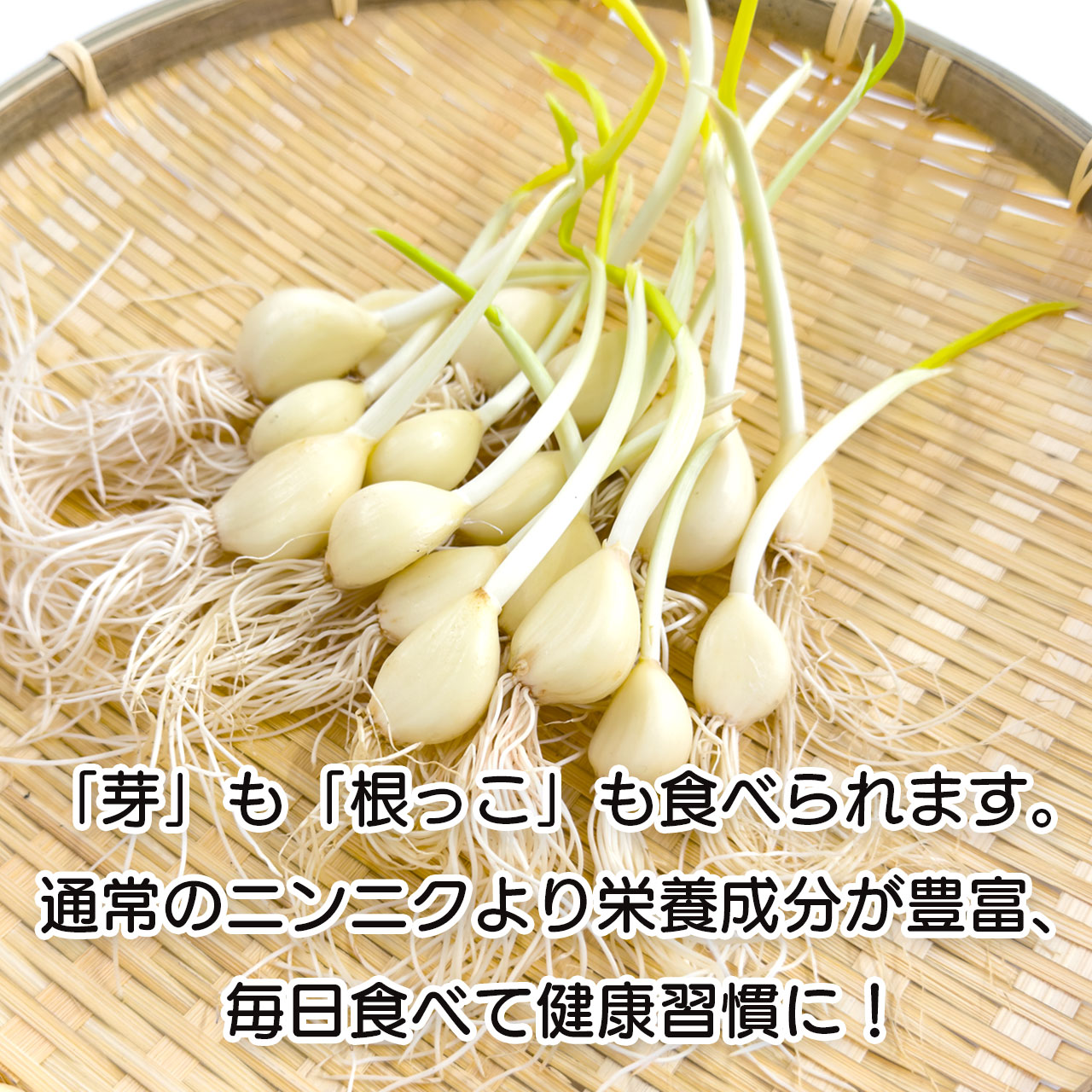 人気No1！　天聖にんにく（18本入）