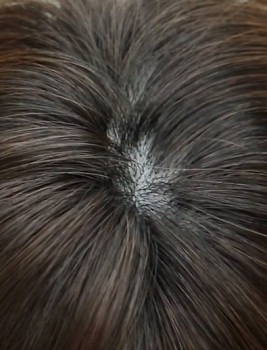 �ȥåץ��С���Ƭĺ���ǥ��ơ���