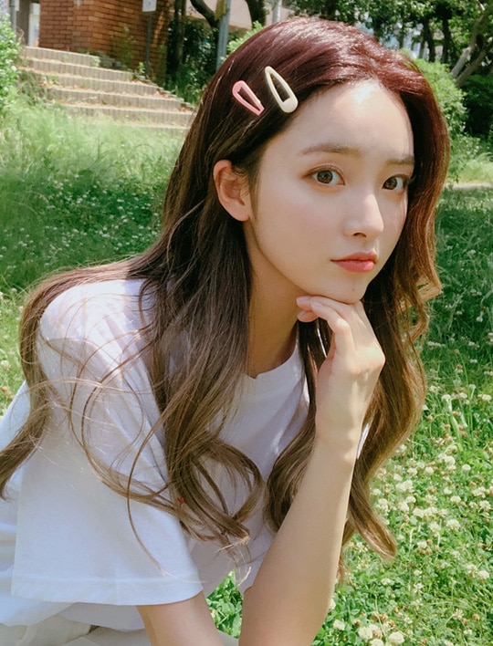 ピンクエイジ　レイヤードCカールハグパーマ(モースト原糸) セミ手植えフルウィッグ) レイヤードCカールハグパーマ(モースト原糸)