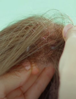 �̡��ǥ�������Ȥ���ˡ