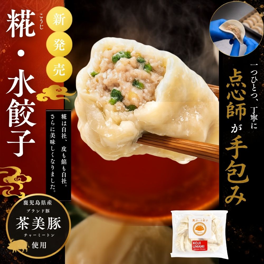 魔法の水餃子 10ヶ