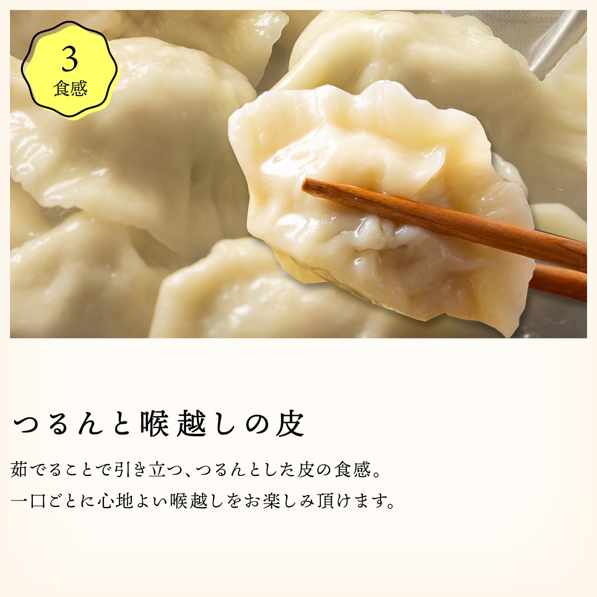 魔法の焼き餃子10ヶ