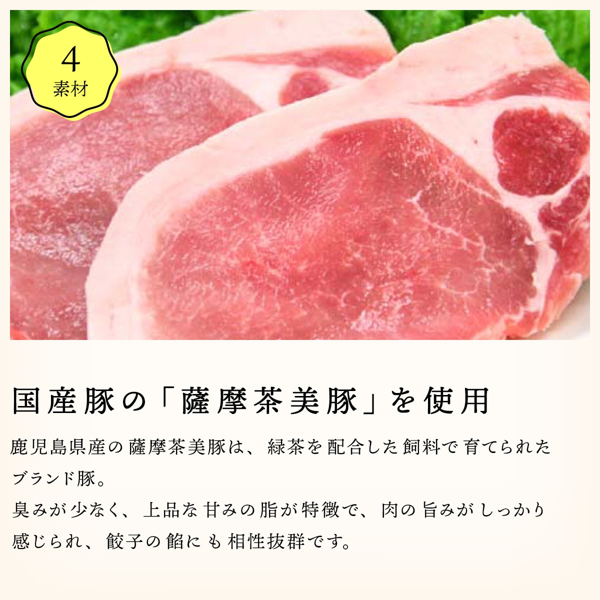 魔法の焼き餃子10ヶ