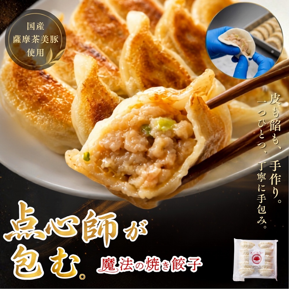魔法の焼き餃子10ヶ
