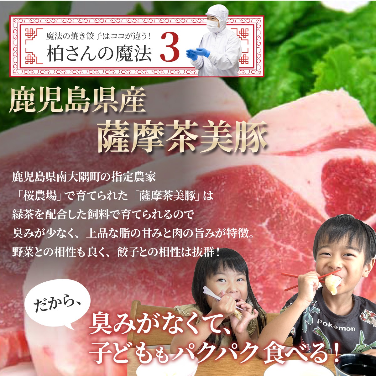 糀・魔法の焼き餃子10ヶ