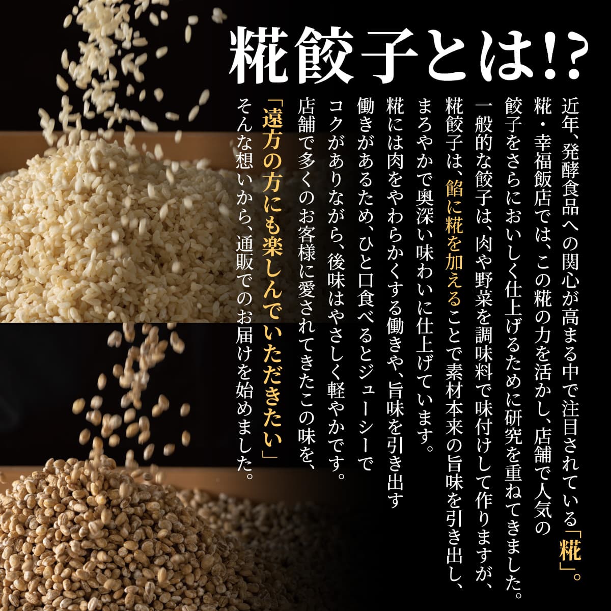 【敬老の日限定20%OFF】糀・点心3種セット