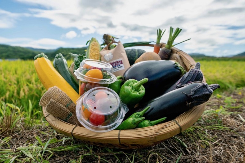 とっぷふるさと会 堀農園（新十津川町）】季節の野菜セット | 野菜（14