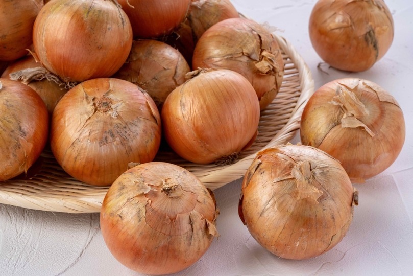 井澤農園（栗山町）】玉ねぎ | 野菜（14） | 北海道つながるマーケット